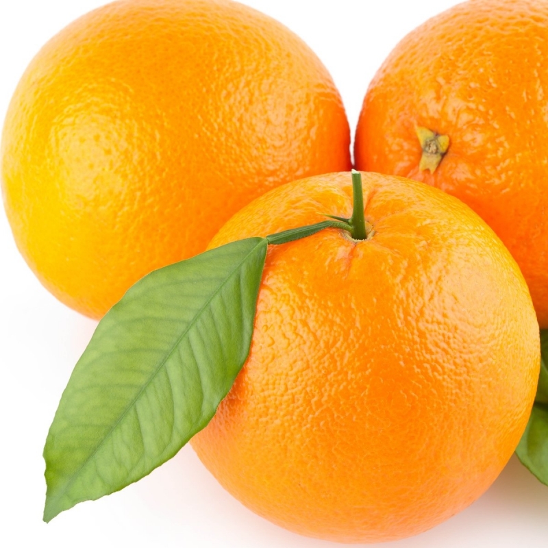 橙子自动分选